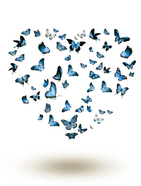 Manada Mariposas Voladoras Aisladas Blanco — Foto de Stock