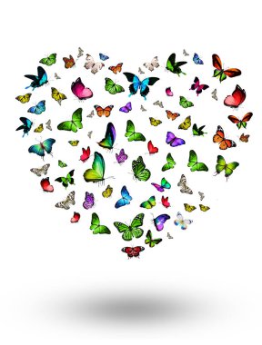 Uçan kelebek sürüsü beyazlar üzerinde izole edilmiş.