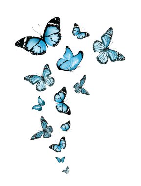 Uçan kelebek sürüsü beyazlar üzerinde izole edilmiş.