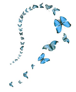 Uçan kelebek sürüsü beyazlar üzerinde izole edilmiş.