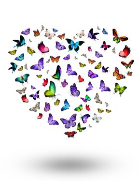 Uçan kelebek sürüsü beyazlar üzerinde izole edilmiş.