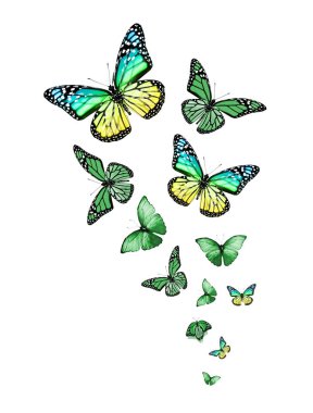 Uçan kelebek sürüsü beyazlar üzerinde izole edilmiş.