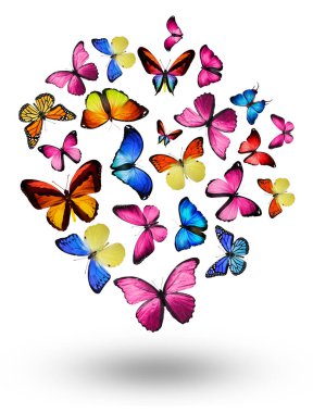 Uçan kelebek sürüsü beyazlar üzerinde izole edilmiş.