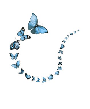 Uçan kelebek sürüsü beyazlar üzerinde izole edilmiş.