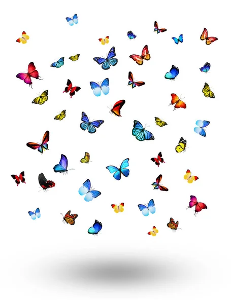 Hejno Létajících Motýlů Izolovaných Bílém — Stock fotografie