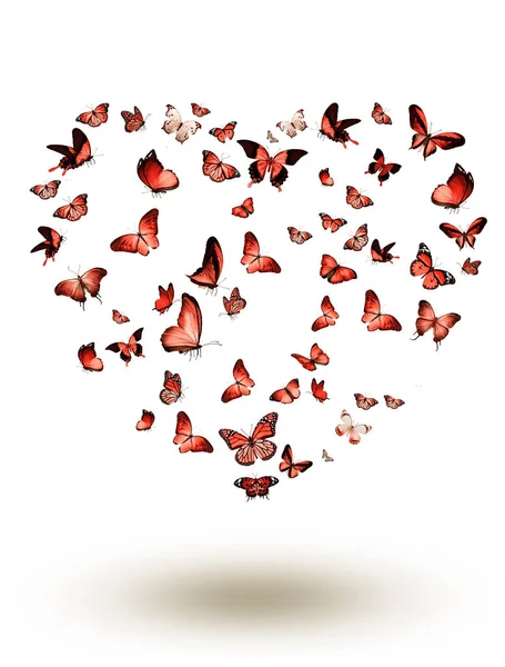 白に隔離された蝶の群れ — ストック写真
