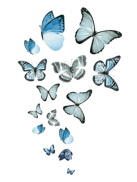 Uçan Kelebek Sürüsü Beyazlar Üzerinde Izole Edilmiş — Stok fotoğraf