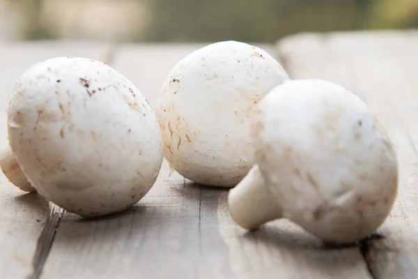 Jamur Dengan Sayuran Atas Kayu Latar Difoto Siang Hari — Stok Foto