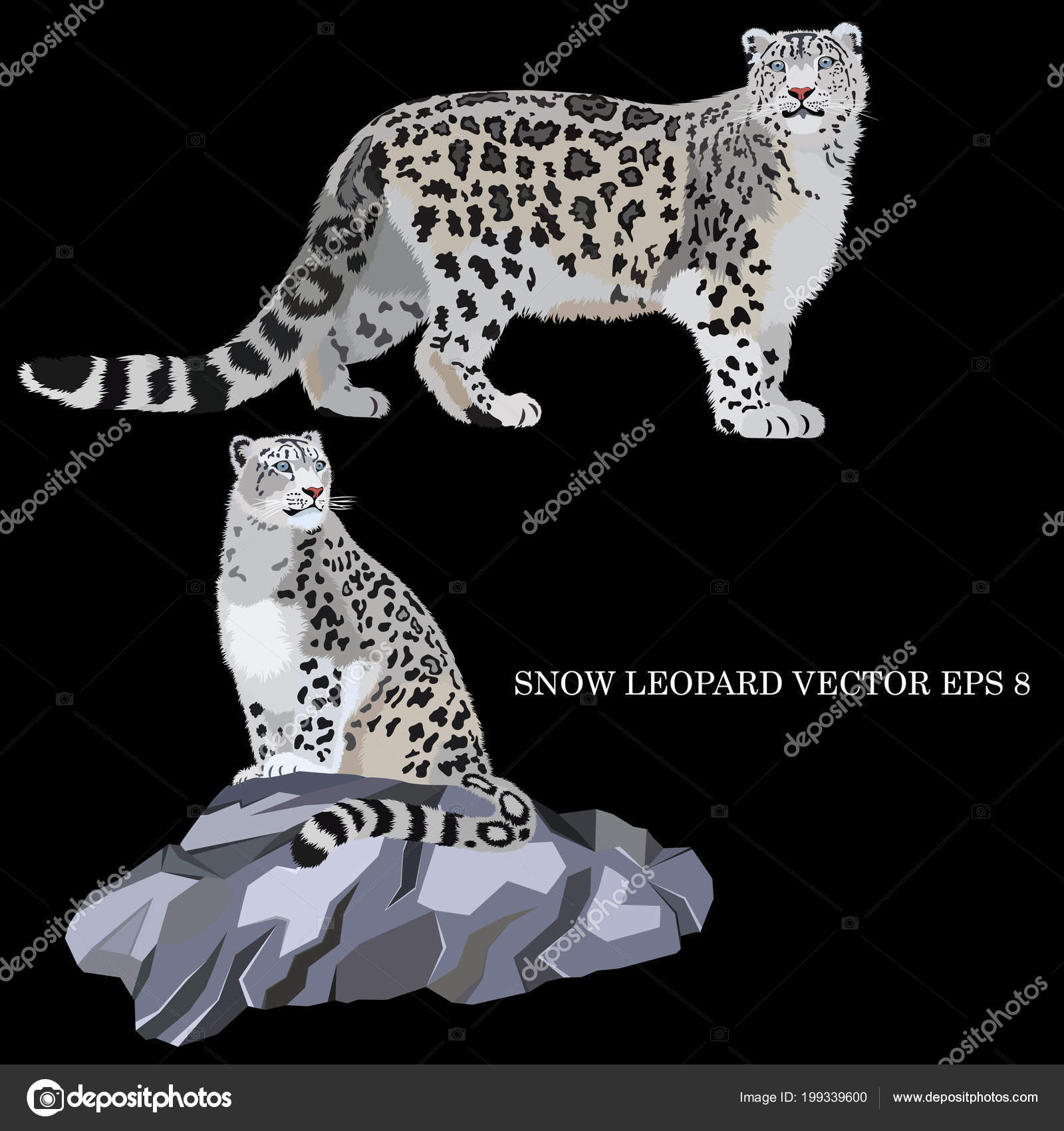 Snow Leopard Sitting Rock Walking Isolated Black Background Stock Vector Image By C Spectr Creative Gmail Com Snow Leopard Sitting Rock Walking Isolated Black Background Stock Vector Image By C Spectr Creative Gmail Com