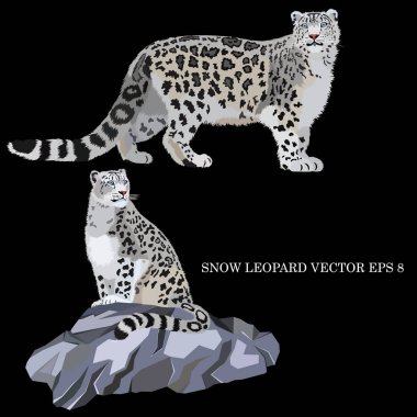 Free Free 214 Snow Leopard Svg SVG PNG EPS DXF File