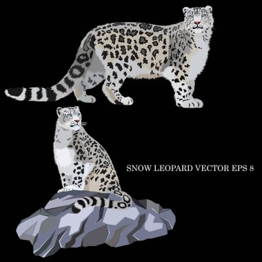 Snow leopard sitting on a rock and walking, isolated, on a black background clipart