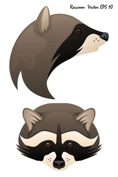 两幅插图的浣熊画像 全脸和轮廓 无背景 已隔离 — 图库矢量图片