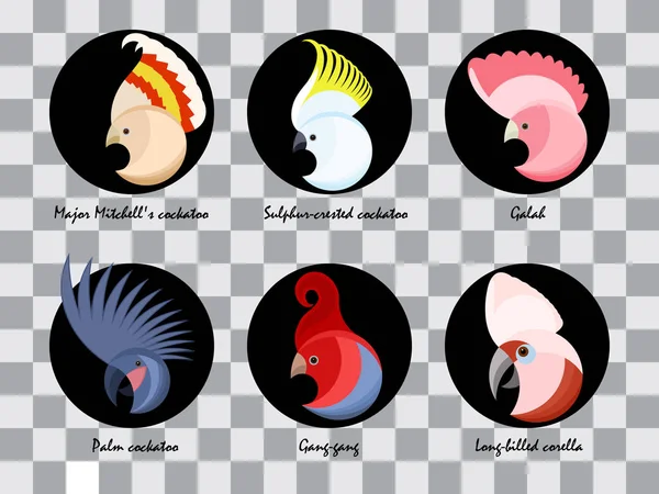 Ensemble Tête Cacatoès Australien Abstrait Coloré Pour Logo Isolé Profils — Image vectorielle