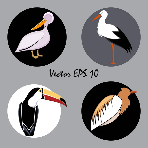 Una Serie Uccelli Astratti Colorati Logo Cerchi Isolato Sfondo Grigio — Vettoriale Stock