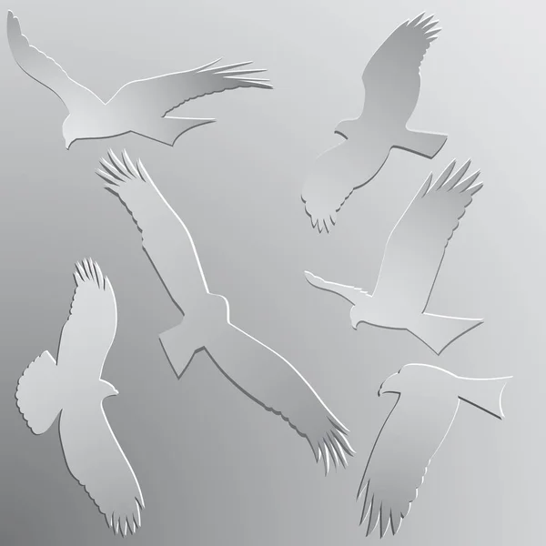 Lot Autocollants Papier Blanc Silhouettes Oiseaux Proie Volants — Image vectorielle