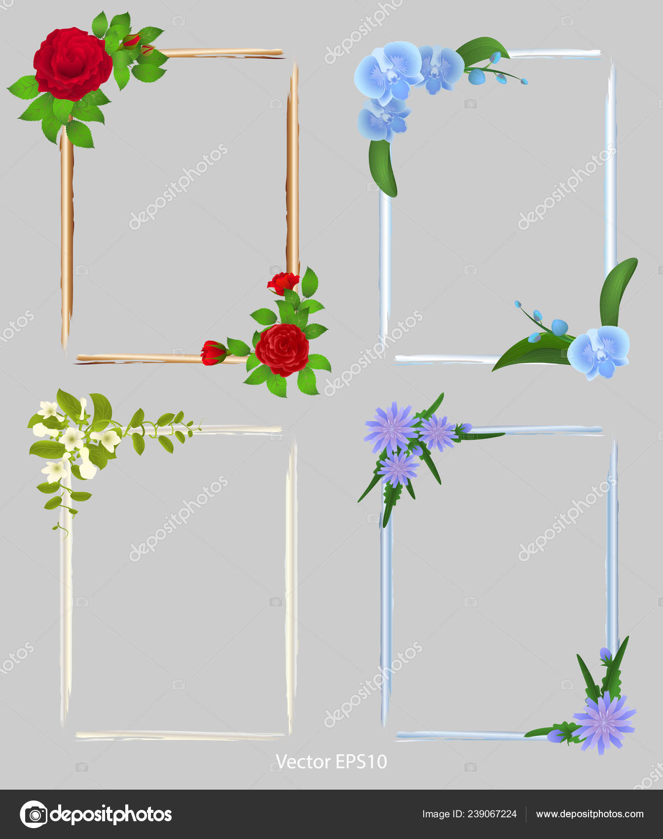 Set Frames Photos Decorated Flowers Vector Illustration Stock