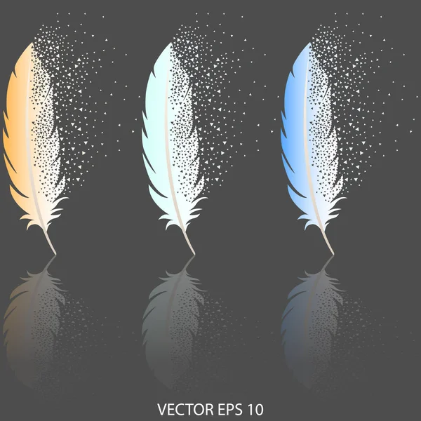 감쇠 효과가 있는 3개의 깃털, 어두운 회색 배경에 색상 그림자 — 스톡 벡터