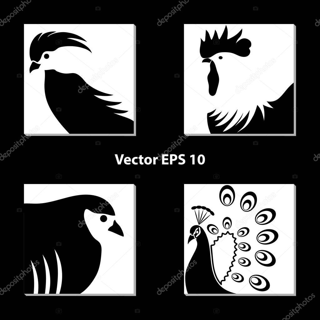set of black and white bird silhouettes for logo in white squares