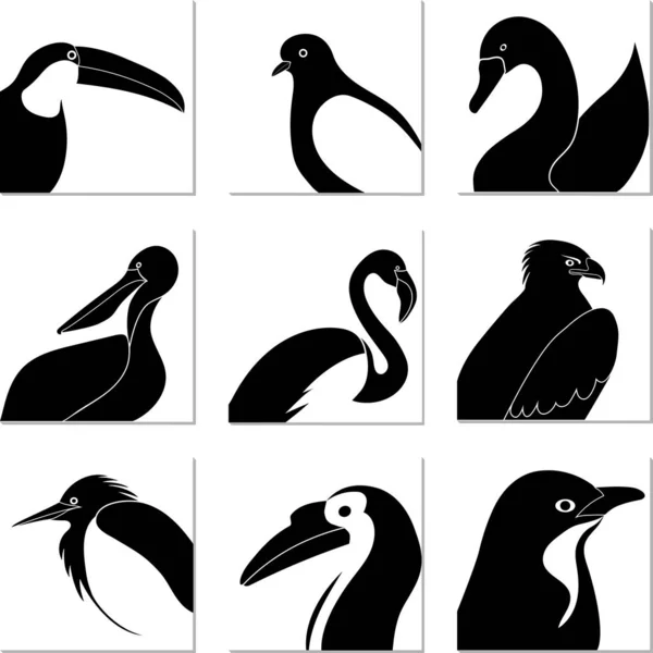 Ensemble de silhouettes d'oiseaux noir et blanc pour logo en carrés blancs — Image vectorielle