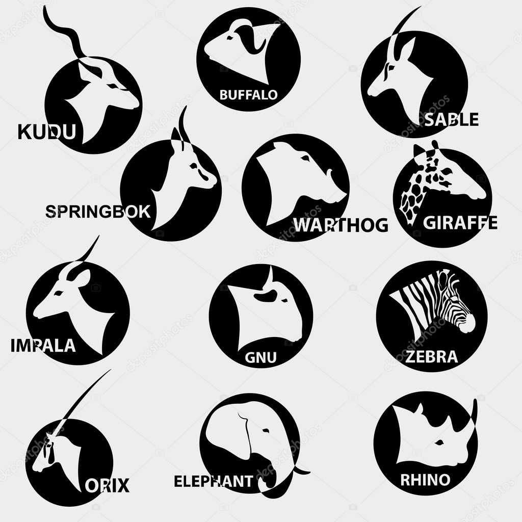 set of popular african animals for logos. Vector illustration