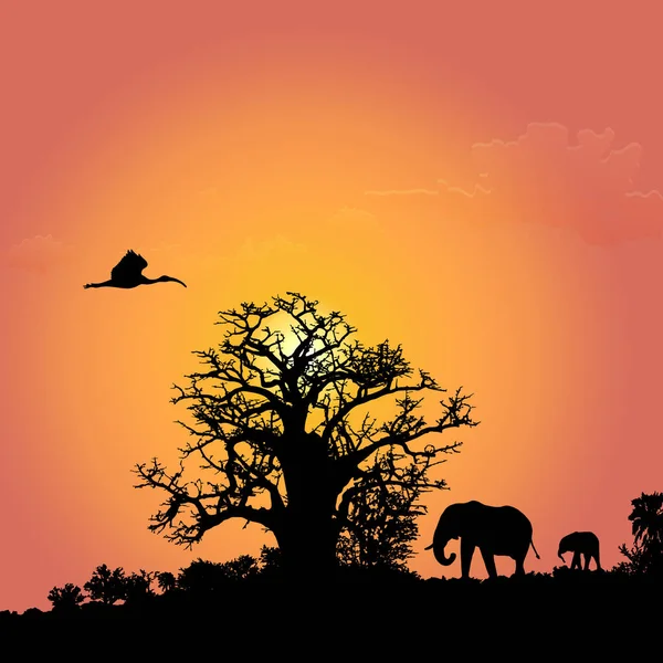 Silhuetas de elefantes africanos ao pôr do sol — Vetor de Stock