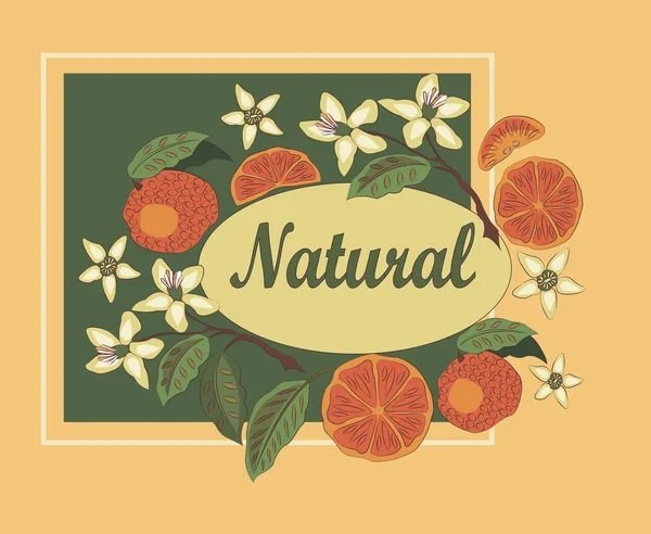 Oranges Green Background Natural Products Healthy Eating — Stock Photo, Image