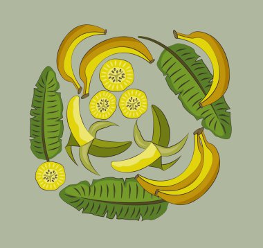 Sarı muz ve yaprakları gri bir arka plan üzerinde. Vektör çizim.