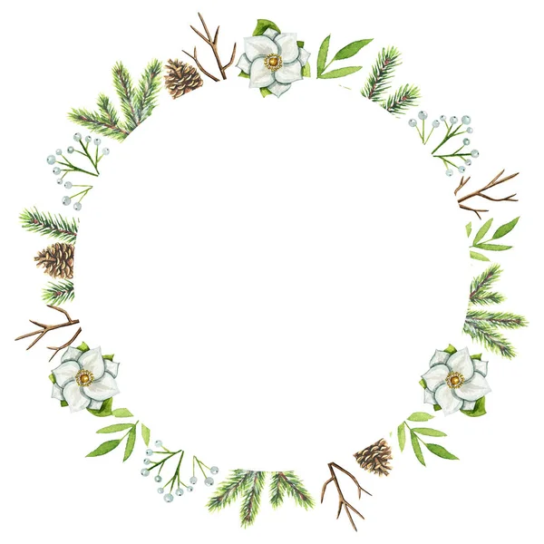 Round frame with Christmas branches, berries, cones, flowers and twigs isolated on white background. Watercolor hand drawn illustration