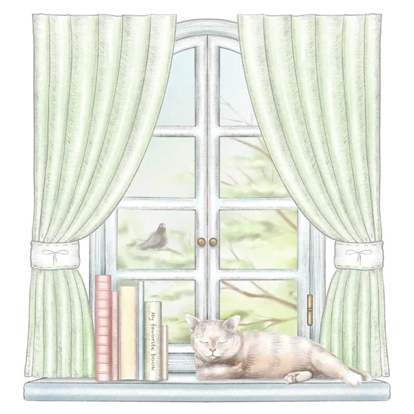 Composition with books and cat sleeping on the sill of the window with green curtains and  summer landscape isolated on white background. Watercolor and lead pencil graphic hand drawn illustration