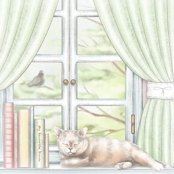 Composition with books and cat sleeping on the sill of the window with green curtains and  summer landscape. Watercolor and lead pencil graphic hand drawn illustration