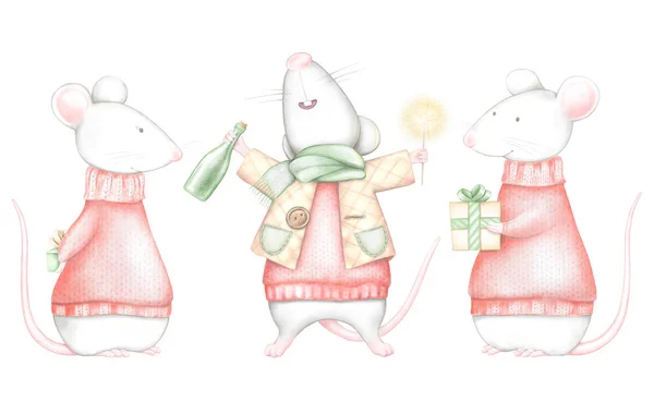 Set of three white mice in red Christmas sweaters isolated on white background. Watercolor and digital graphic hand drawn illustration