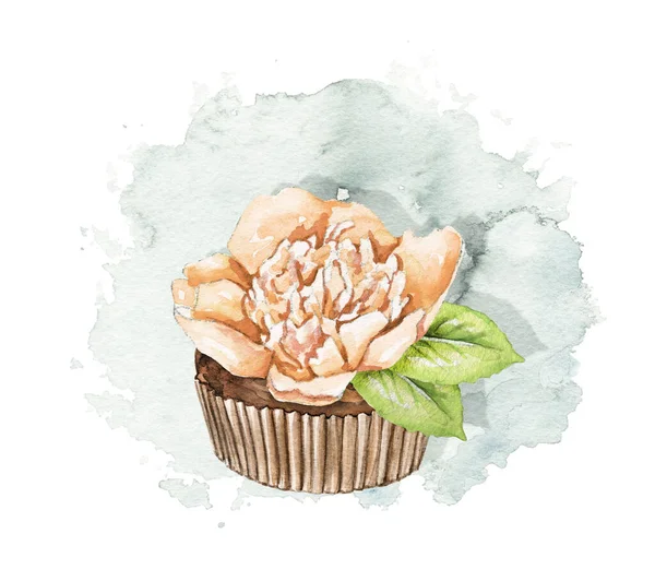 Muffin with beige peony flower on blue stain background.  Watercolor hand drawn illustration