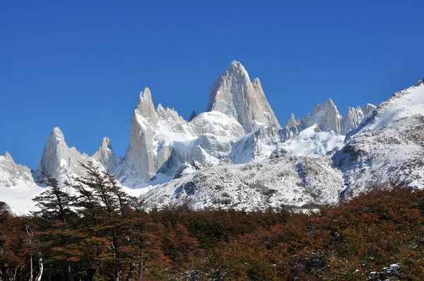 Montagne Forêt Fitz Roy Chalten Patagonia Argentine — Photo