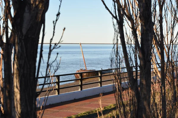 Barco Enferrujado Velho Entre Árvores Outonais Tarde — Fotografia de Stock