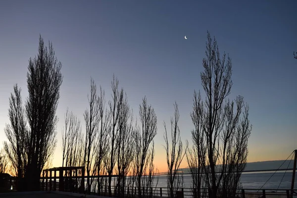 Alberi Autunnali Quarto Luna Tramonto Nella Stagione Invernale — Foto Stock