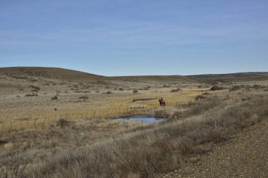 At sırtında koyun güden bir adam.