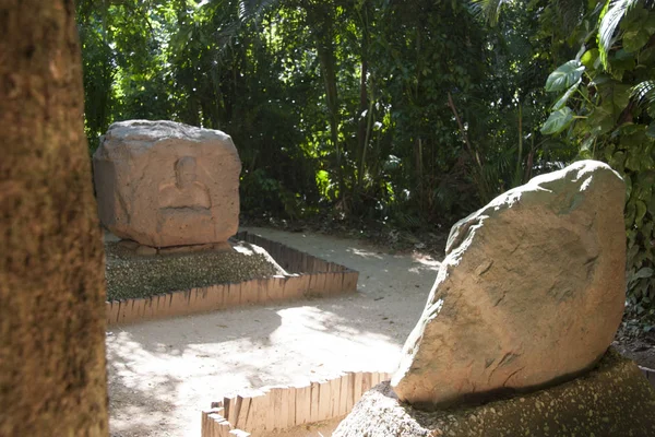 Olmec,La Venta,Villahermosa, Tabasco, Meksika