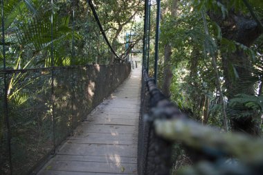 Ormandaki asma köprü, La Venta Parkı, Meksika, Tabasco, Villahermosa