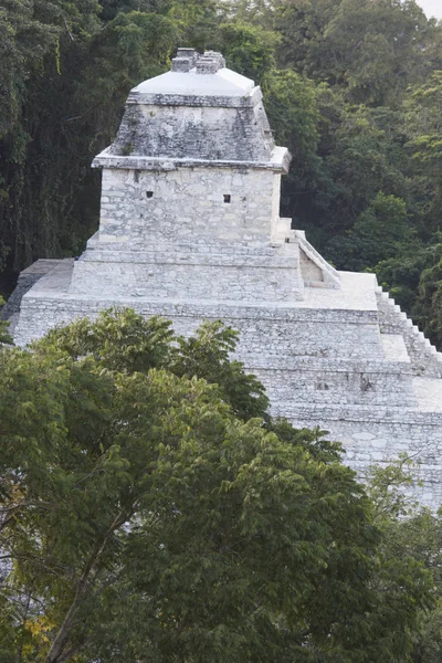 Chrám Nápisů Pákistálního Hrobu Palenque Chiapas Mexiko — Stock fotografie