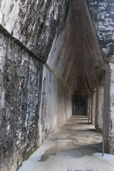 Archeologická Oblast Palenque — Stock fotografie