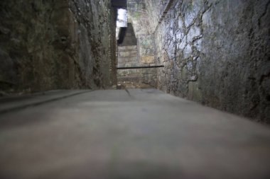 Palenque Arkeolojik Bölgesi