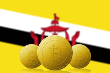 Arka planda Brunei bayrağı olan üç Bitcoin kripto para birimi.