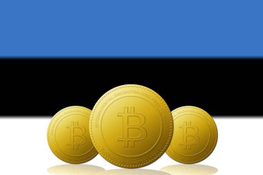 Arka planda Estonya bayrağı bulunan üç Bitcoins kripto para birimi.
