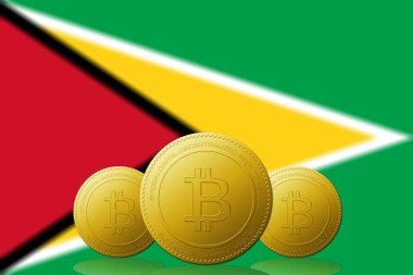 Arka planda Guyana bayrağı olan üç Bitcoins kripto para birimi.