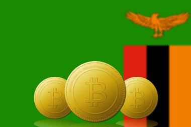 Arka planda Zambiya bayrağı bulunan üç Bitcoins kripto para birimi.