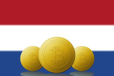Arka planda Hollanda bayrağı bulunan üç Bitcoin kripto para birimi.