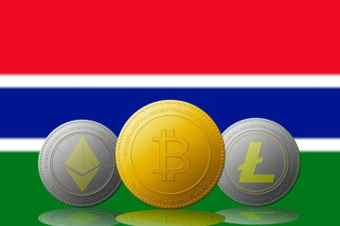 Arka planda Gambiya bayrağı olan üç kripto para birimi Bitcoin Ethereum ve Litecoin