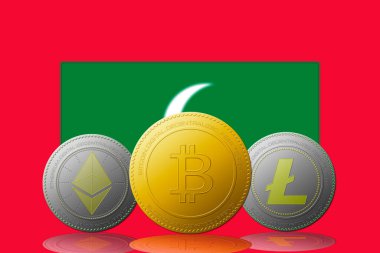 Arka planda Maldivler bayrağı bulunan üç kripto para birimi Bitcoin Ethereum ve Litecoin