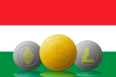 3 boyutlu illüstrasyon 3 kripto para birimi Bitcoin Ethereum ve Litecoin arka planda Macaristan bayrağı.