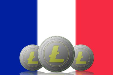 FRANSA bayrağıyla 3 LITECOIN şifreleme.